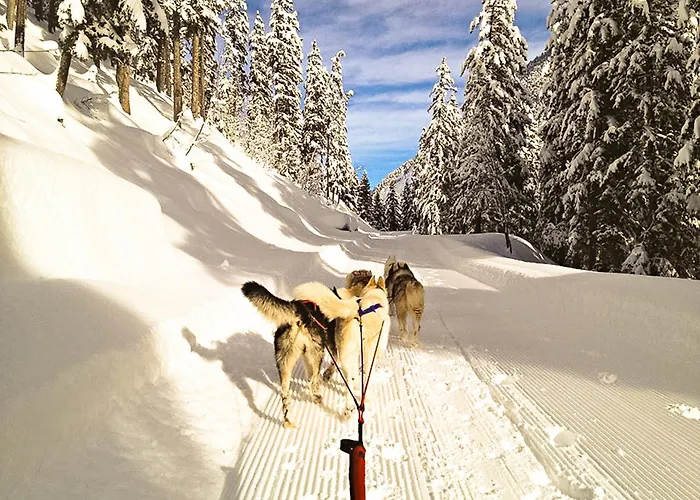 Appartement Aix Centre Cosy Calme Garage Terrasse Aix-les-Bains